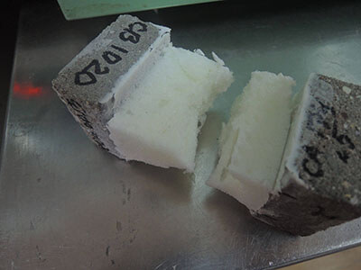 Рисунок внешнего вида образцов после определения прочности сцепления (со Стиз Д при температуре минус 10 градусов)